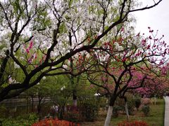 -宝鸡植物园