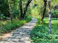 -燕晗山郊野公园