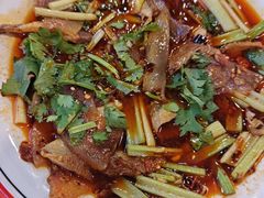 -易老妈蹄花.特色川菜(人民公园总店)