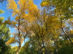 -元大都城垣遗址公园