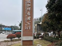 -铁山坪森林公园