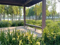 -金银湖国家城市湿地公园