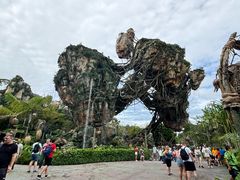 -奥兰多迪士尼动物王国乐园