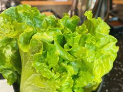 -九田家黑牛烤肉料理(郫都万达檬柏西路店)