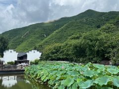 -荷塘味道(水长城店)