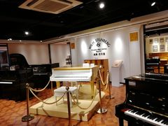 -柏斯音乐艺术中心·钢琴·吉他(上音店)