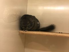 -龙猫仔乐园(惠福东路店)