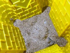 -大堂酒廊·亚龙湾万豪度假酒店