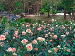 -人民公园(罗湖区)