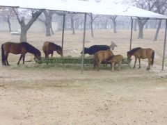 景点-西安秦岭野生动物园