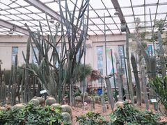 -石家庄市植物园