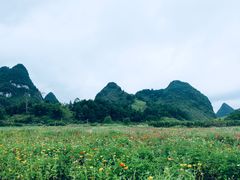 -靖西鹅泉风景区