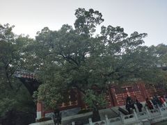 -香山公园-东宫门售票处