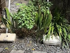 -都氏家DUSJOY(翡翠城店)