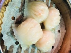 虾饺-点点心点心专门店(湾仔店)