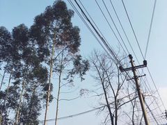 -美心红酒小镇游乐园