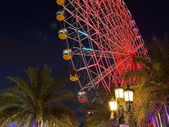 -三亚海昌梦幻海洋不夜城