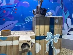 -海合安青岛极地海洋公园