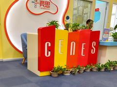 -竞思注意力·专注力·学习能力训练(天一广场中心)