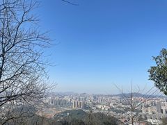 -茶颜悦色(岳麓山顶店)