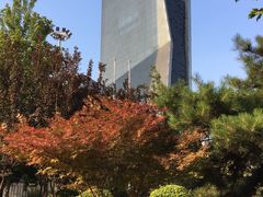 -中央广播电视总台(光华路办公区)