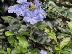 -阳光山水江湖菜馆(西山龙门店)