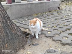 -北京凤凰岭