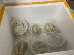 -安海长火土笋冻