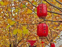 -海拉尔蒙古包(房山长阳店)