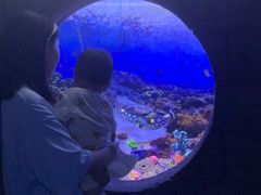 -左海海底世界