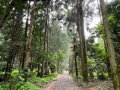 -狼山风景名胜区