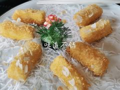 -顺德了能馆(虎门店)