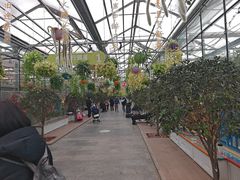 -南宫五洲植物乐园