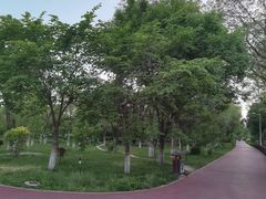 -鲤鱼山公园
