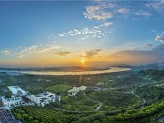 -张坝桂圆林公园