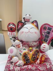 -OAE日式皮肤管理お肌の