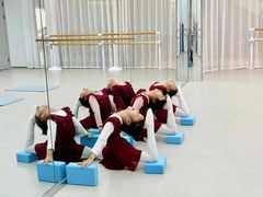 -红舞鞋舞蹈教育(近江校区)