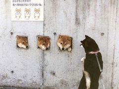 -豪香里脊肉串(大中路店)