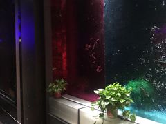 -星璨火吧KTV聚会餐厅(丰庆路店)