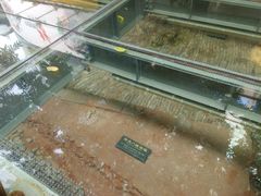 景点-北京路步行街-千年古道遗址
