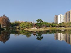 -四海公园(南山区)