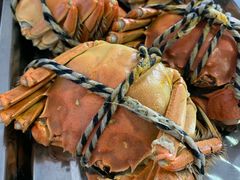 -乡乐园蟹庄·阳澄湖农家乐