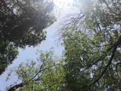 -帽儿山风景区