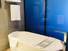 -南京禄口机场雅高铂尔曼大酒店