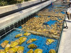 -川骄海鲜自助(河东店)