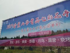 -紫颐香薰山谷景区