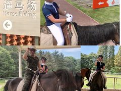 -太阳岛度假酒店