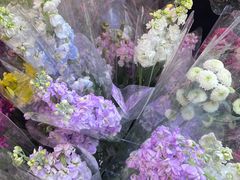 -越秀西湖花市(广州城市广场花卉店)