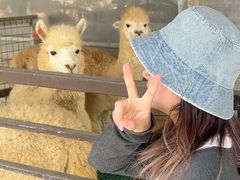 -盈香心动乐园