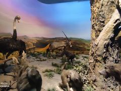 -国家自然博物馆